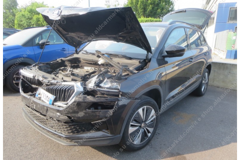 2023 Skoda Karoq, Dyzelinas